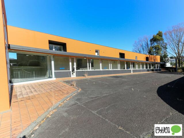 伊豆市熊坂のその他|２０２４年１２月２３日現地撮影