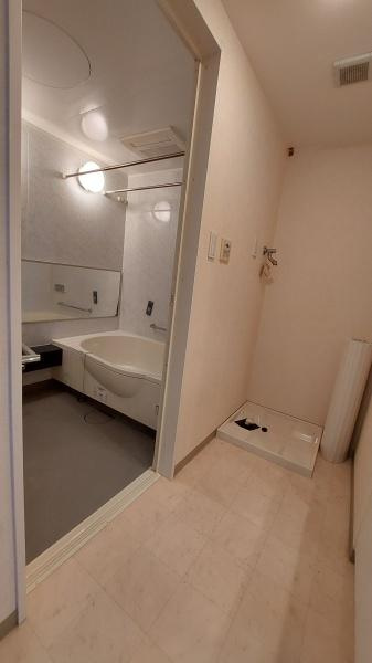 アリストタワー和歌山シティの独立洗面台