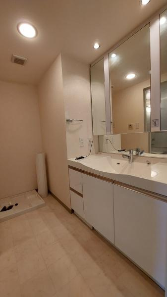 アリストタワー和歌山シティの独立洗面台