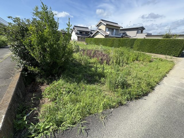 神野新田ワノ割売地（農地白地）の周辺