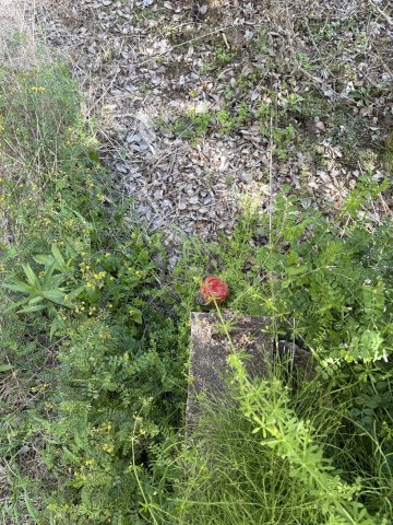 深溝字西稲葉売地の周辺