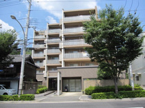 アルバ谷上の画像