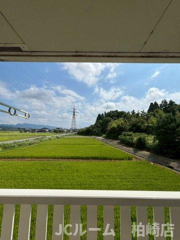 柏崎市大字藤井のアパートの展望