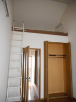 きれいな内装です