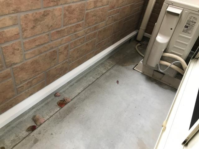 【その他】 | 津田くにみ谷’08 | ベランダ