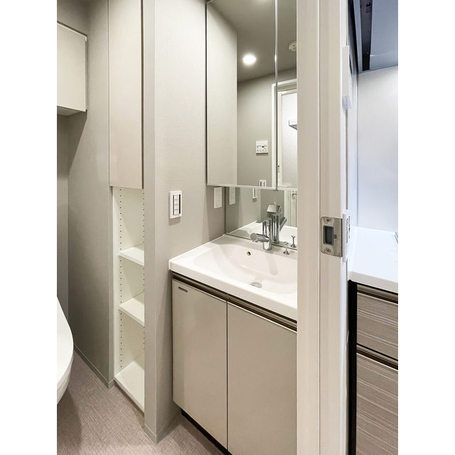 ブラウ戸越銀座テラスの独立洗面台