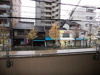 【展望】プレサンス京都御所東 