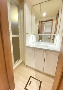 大阪市天王寺区上本町９丁目の賃貸マンションの洗面所