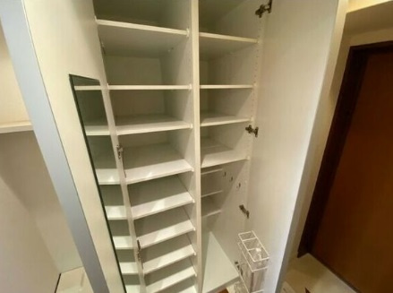 大阪市天王寺区上本町９丁目の賃貸マンションの収納