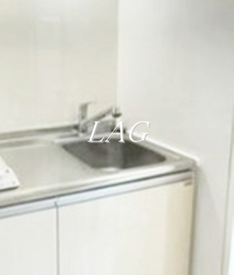 【その他】 | パラシアⅡ | シンクです。