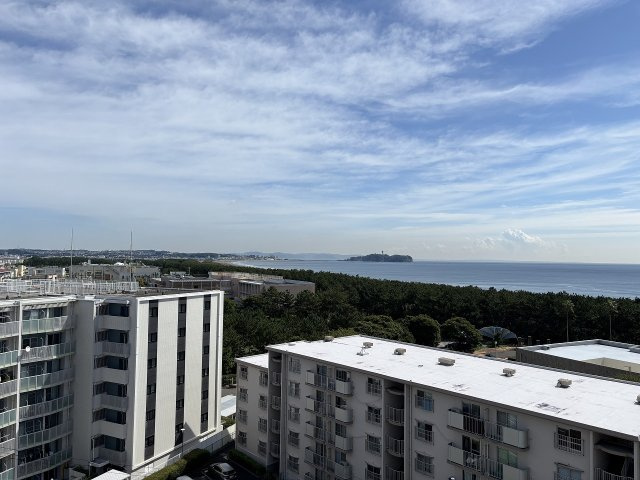 【周辺】 | ◇◆ランドステージ茅ヶ崎オーシャンビュー◆◇ | マンション屋上から海や江ノ島、富士山が望め、夏には花火を鑑賞する事ができます！