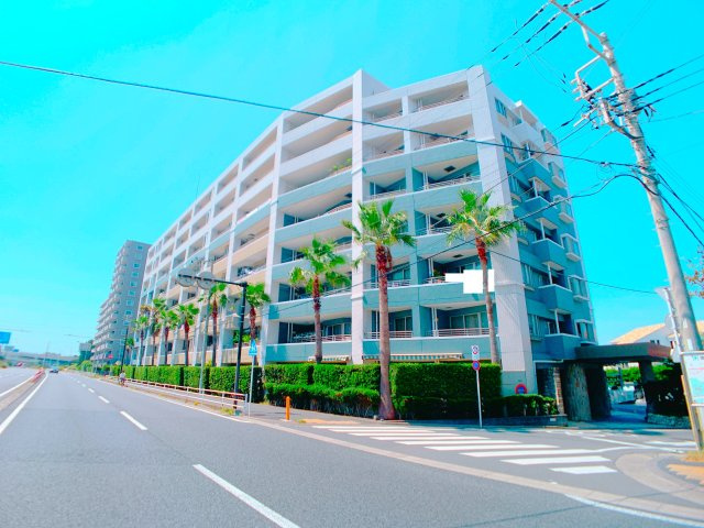 【外観】 | ◇◆ランドステージ茅ヶ崎オーシャンビュー◆◇ | ワシントンヤシが南国の雰囲気を感じさせる茅ヶ崎の海近マンション！