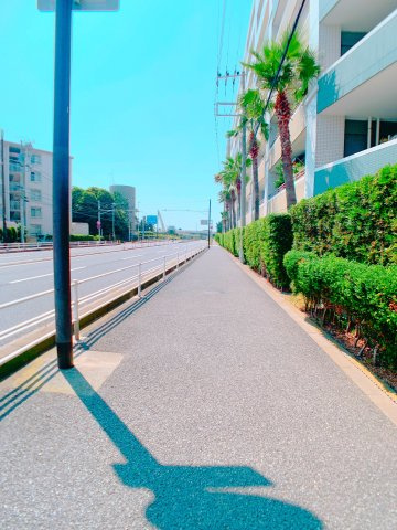 【周辺】 | ◇◆ランドステージ茅ヶ崎オーシャンビュー◆◇ | マンション前は整備された歩道がありお子様の通学時も安心です。