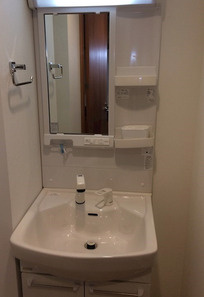 セイワパレス玉造駅前の洗面所