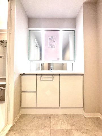 阪急日生ニュータウン花咲く丘の街D棟の洗面所