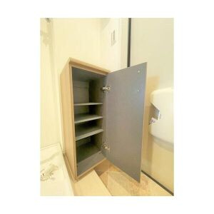 Luminosus新百合山手の玄関|※別号室の写真です。現況優先となります。