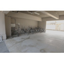 プランタン・コウのその他