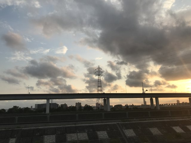 グラッドレクトの展望