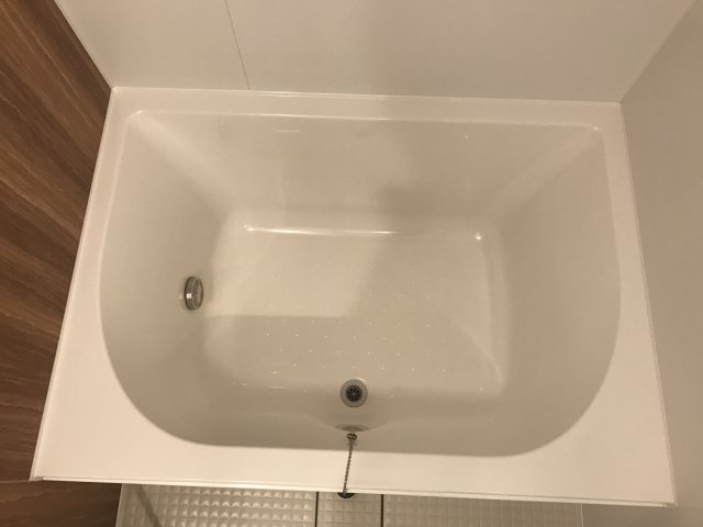 グラッドレクトの浴室
