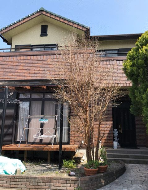 西椎路戸建の外観