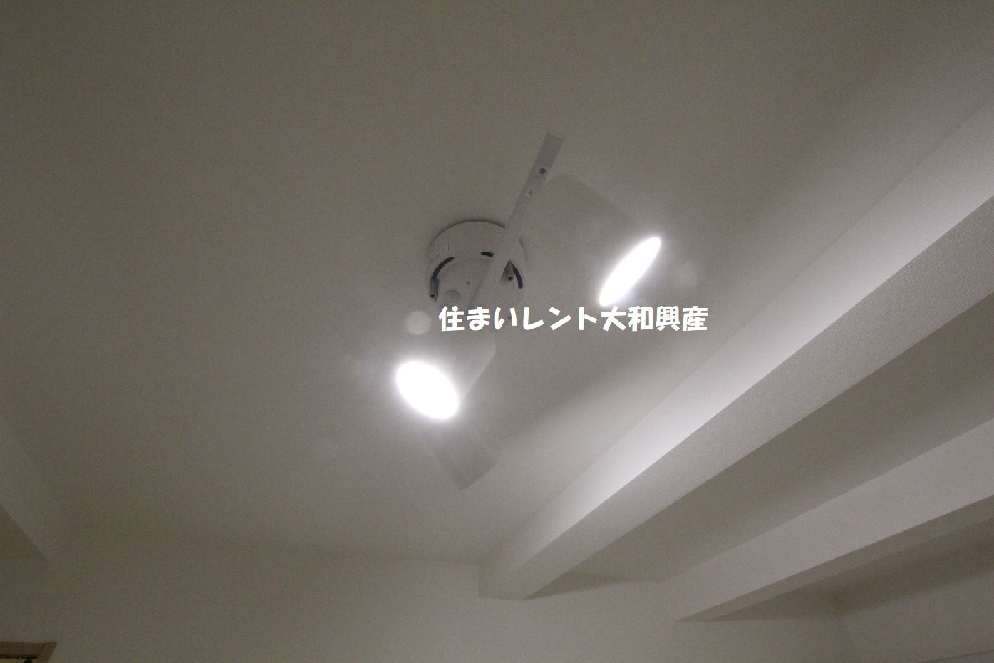 カジハナの設備