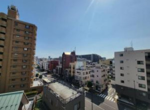 ディスタ西大島デルコートの展望