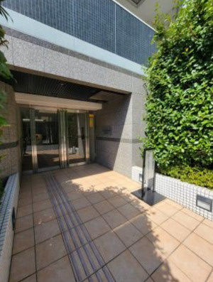 ディスタ西大島デルコートのエントランス