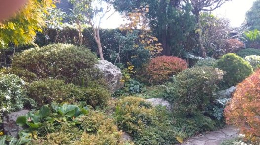茂原市小林　平家中古戸建の庭|敷地約196坪　6SDK平家　閑静な田園地帯和風庭園の平家 駐車2台可 スーパーせんどう約1km