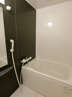 【浴室】 | ブルガー光