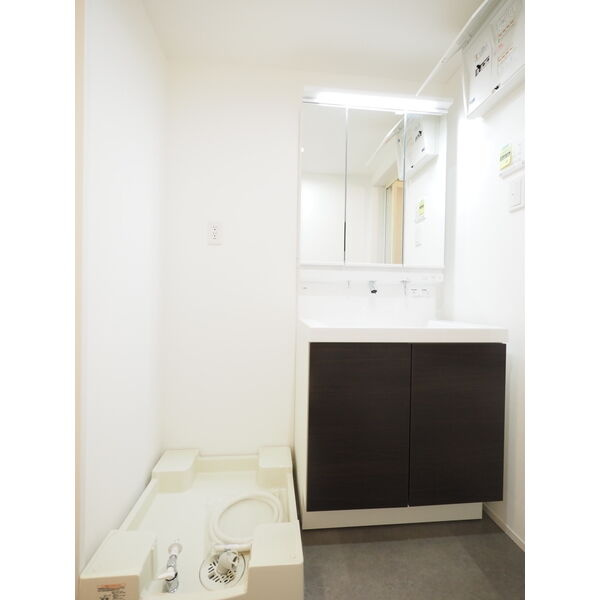 GRANDBLUE dotokushimmachiⅠの独立洗面台