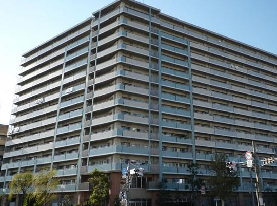 東京ベイリベロシティ