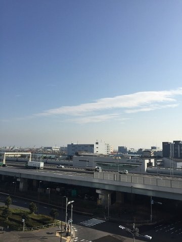 東京ベイリベロシティの展望