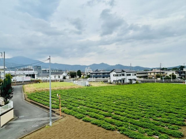 秦野市平沢　限定１棟　新築住宅の展望