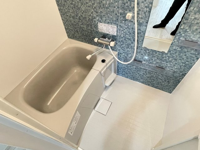 デリス・メゾン輪西の浴室