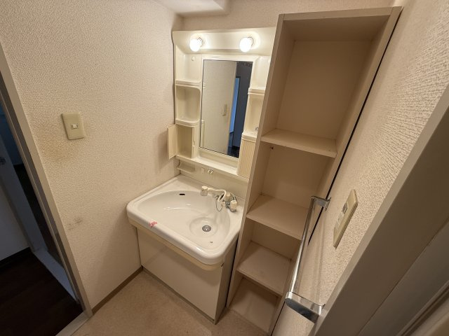 エステートプラザ住吉の独立洗面台