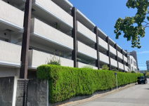 サングレイス京王堀之内コートＢの画像