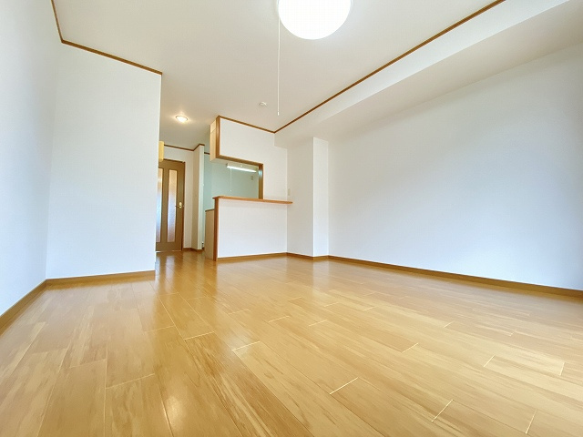 キャピタルレジデンスⅡの居間・リビング