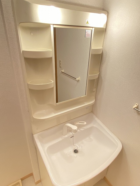 キャピタルレジデンスⅡの洗面所