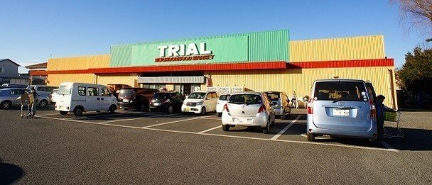パークレジデンス　ミッドの周辺|トライアル江南店まで1300m