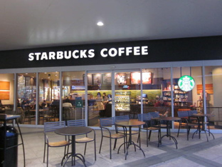 スターバックスコーヒ…まで508m