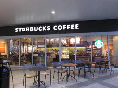 スターバックスコーヒ…まで508m