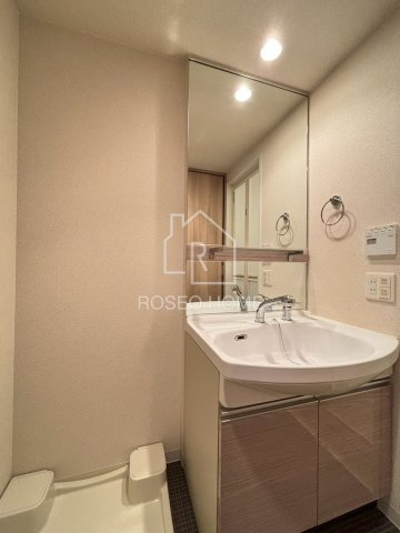 プレサンス北浜パレスの洗面所