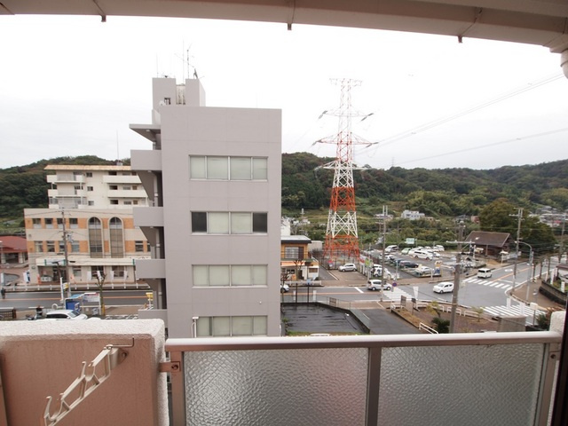 ドミトリー多津美のその他