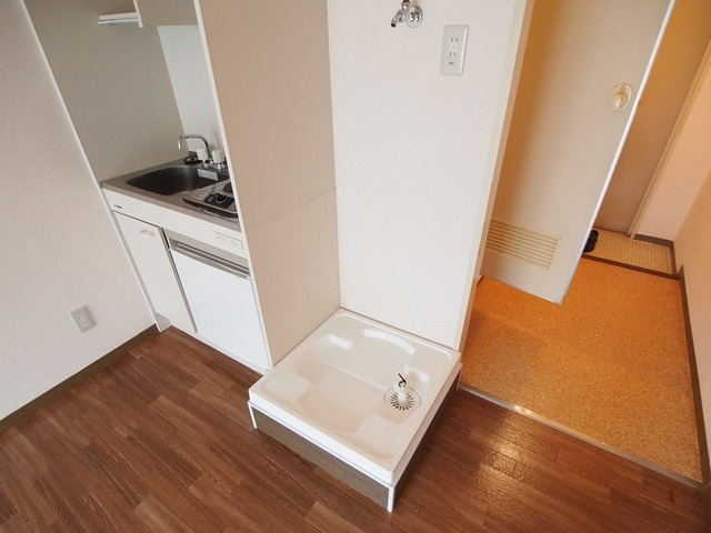 ドミトリー多津美のその他