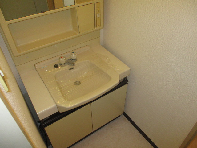 ハタハイツの洗面所