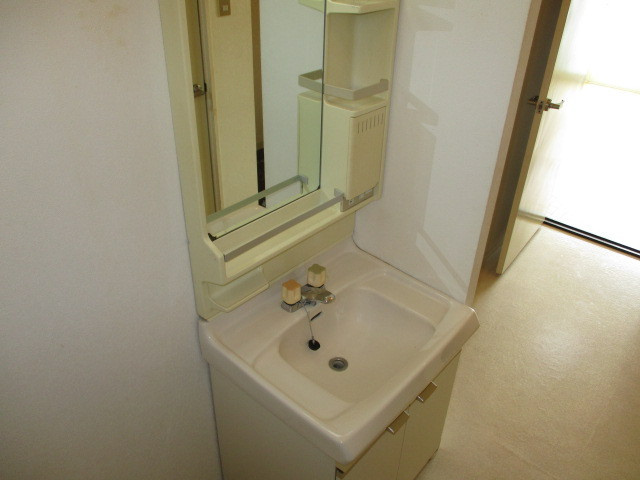 メゾンドールの洗面所