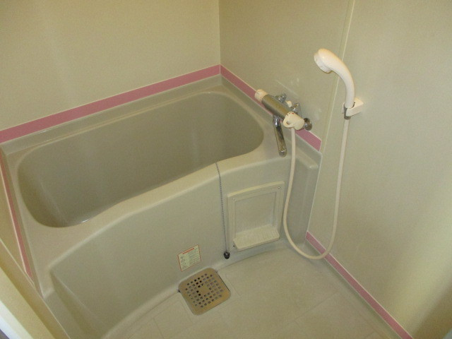 メゾンドールの浴室