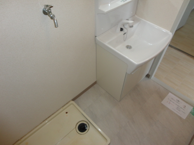 メゾン下田の洗面所