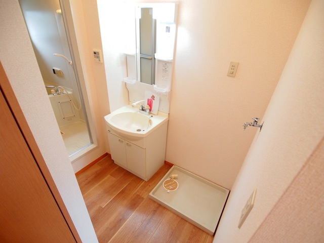 セジュールＳの洗面所