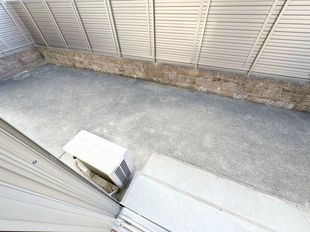 ウィット狐井のその他